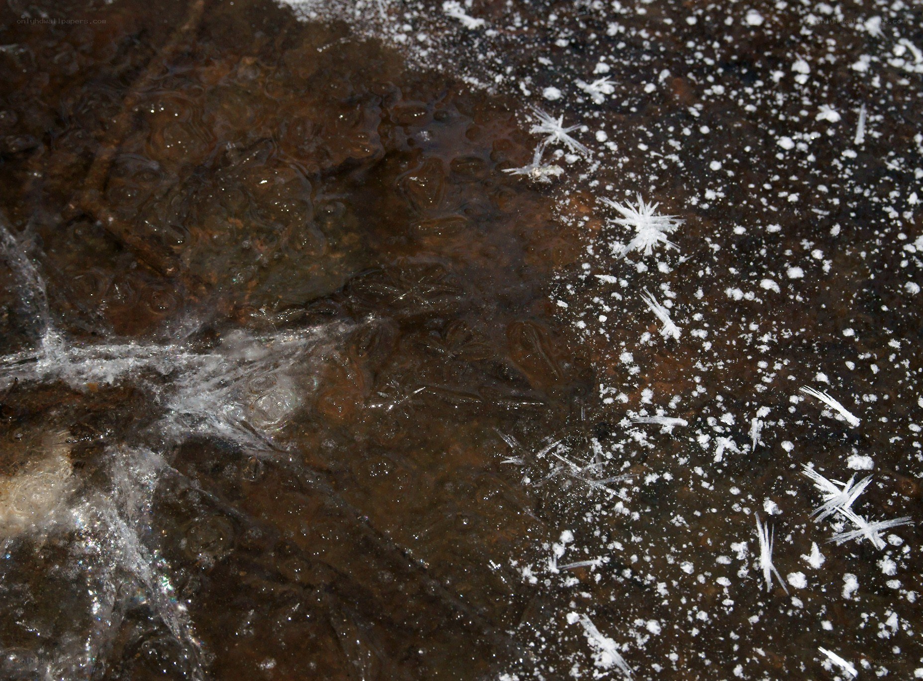 frozen water on rock