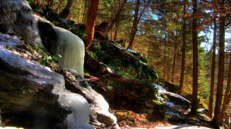 Frozen waterfall in forest