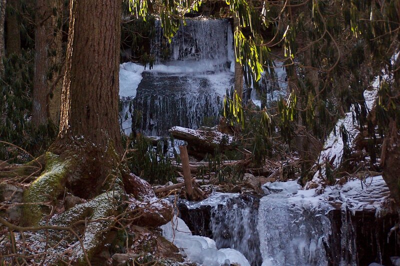 Frozen waterfall in forest