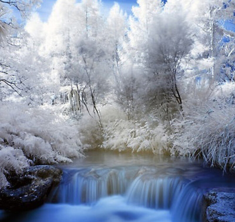 Frozen Waterfall in Forest — Blue, Serene, Winter, Photograph, Trees, Stream