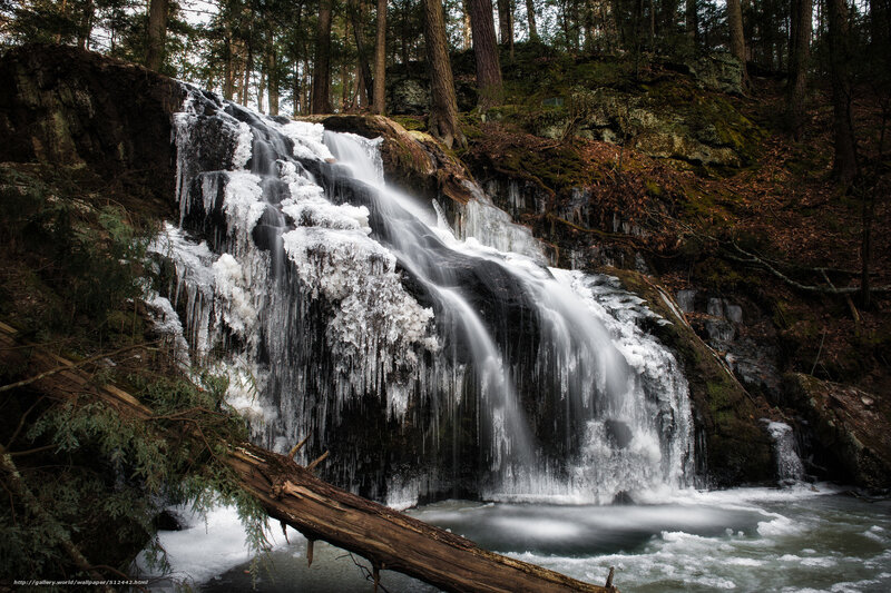 Frozen Waterfall in Forest — Green, Serene, Winter