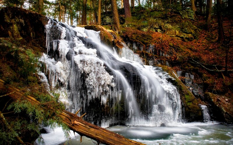 Frozen Waterfall in Forest — Green