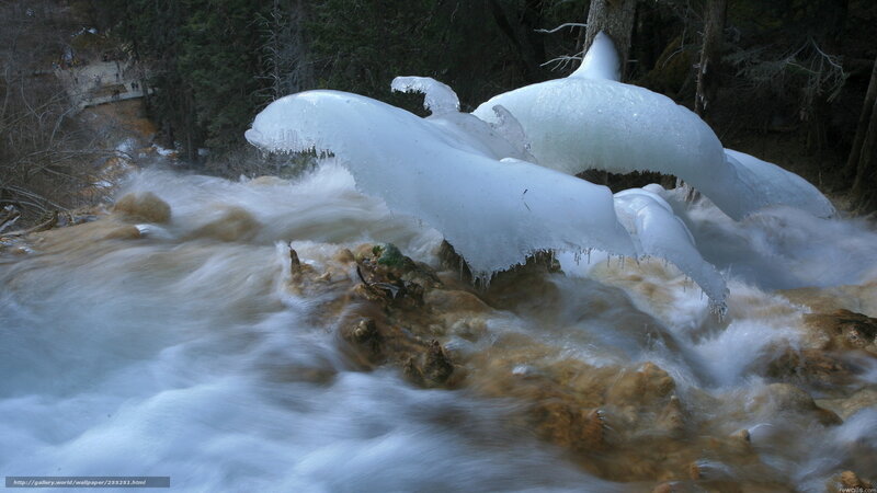 Frozen waterfall in forest
