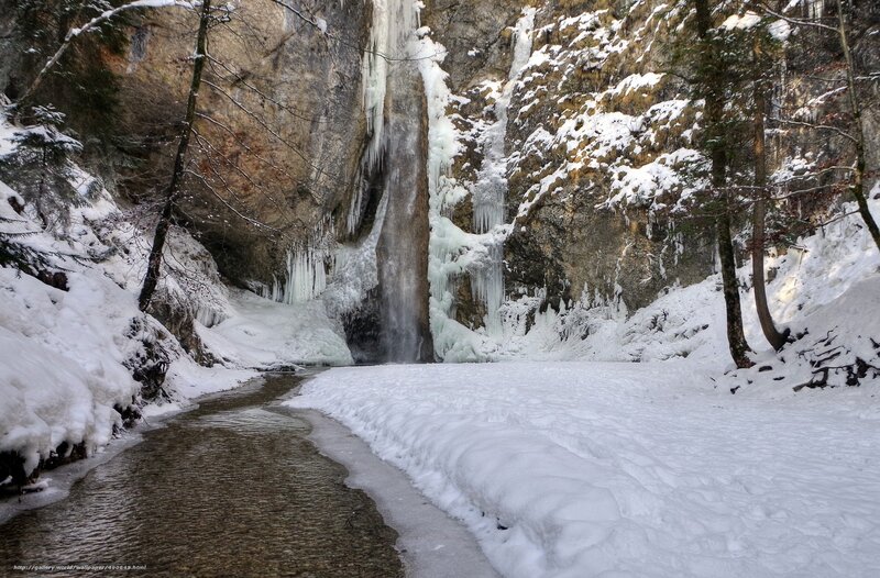 Frozen Waterfall in Forest — White, Cold, Winter, Photograph, Snow, Trees
