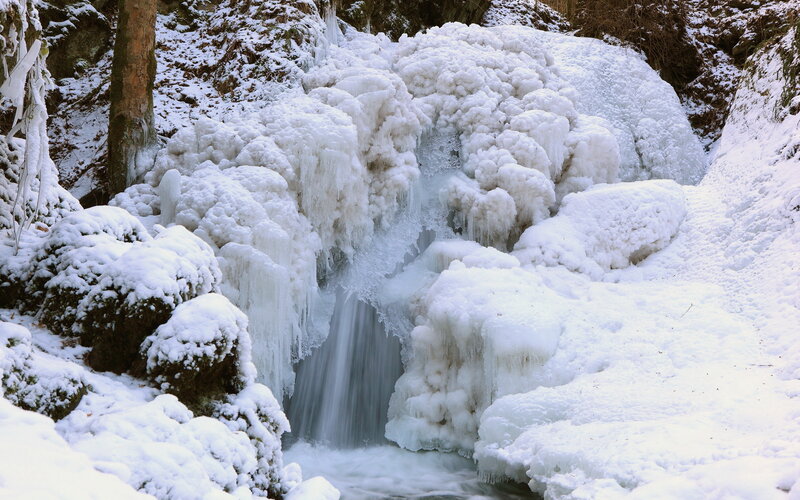 Frozen Waterfall in Forest — White, Cold, Winter, Photograph