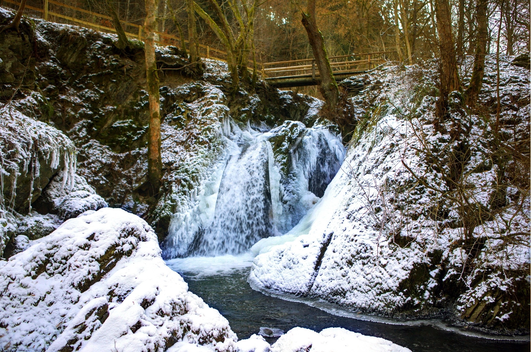 Frozen waterfall in snowy forest