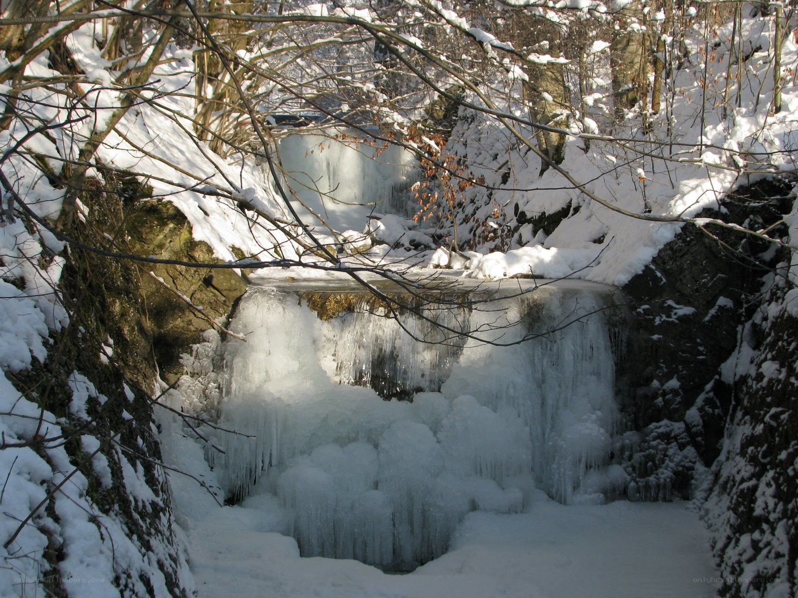 Frozen waterfall in winter forest