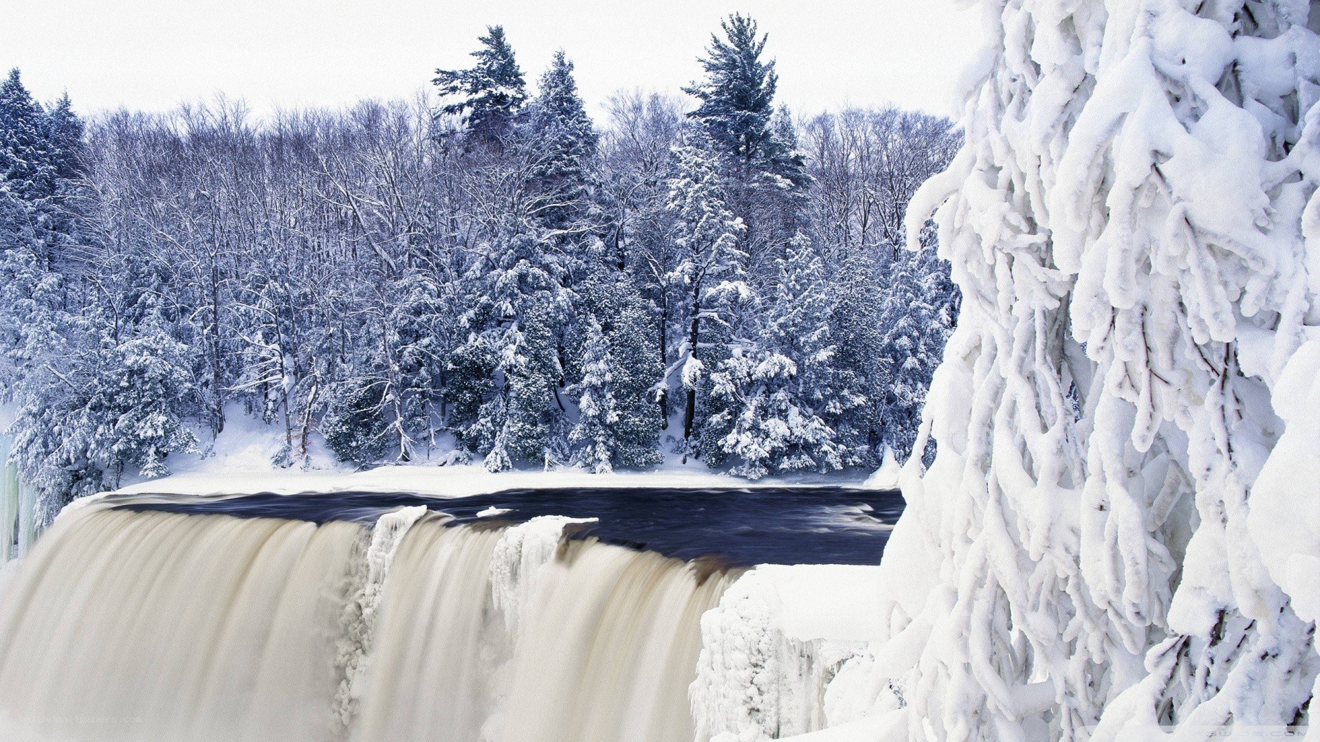 Frozen waterfall in winter forest