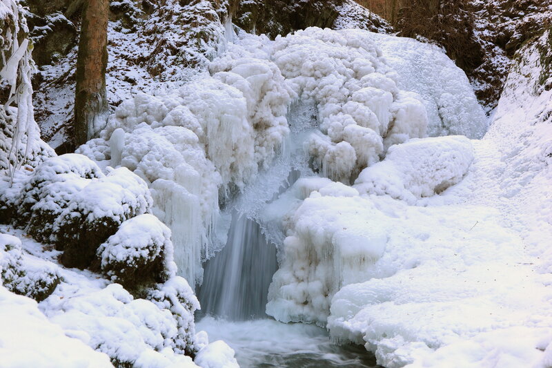 Frozen Waterfall — White, Cold, Winter, Photograph, Snow, Ice, Trees