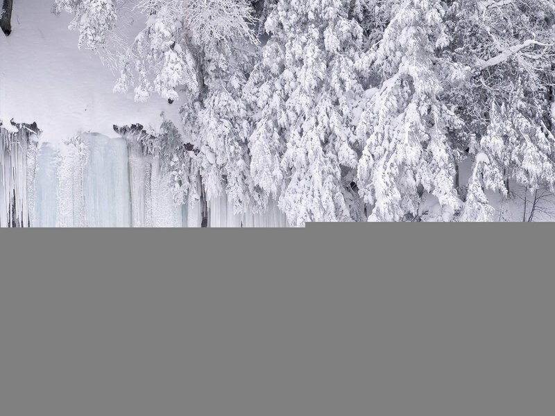 Frozen Waterfall — White, Cold, Winter, Photograph, Snow, Trees, Ice, Gray