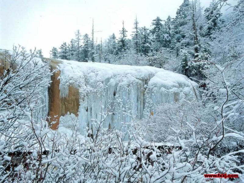 Frozen Waterfall — White, Cold, Winter, Photograph, Snow, Trees, Ice