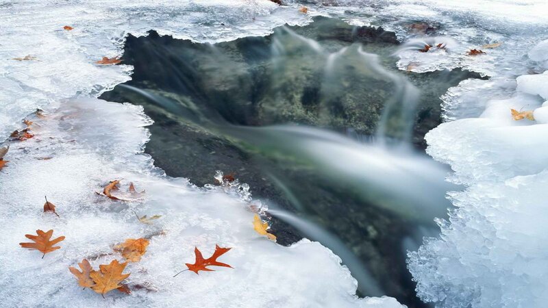 Frozen waterfall with autumn leaves