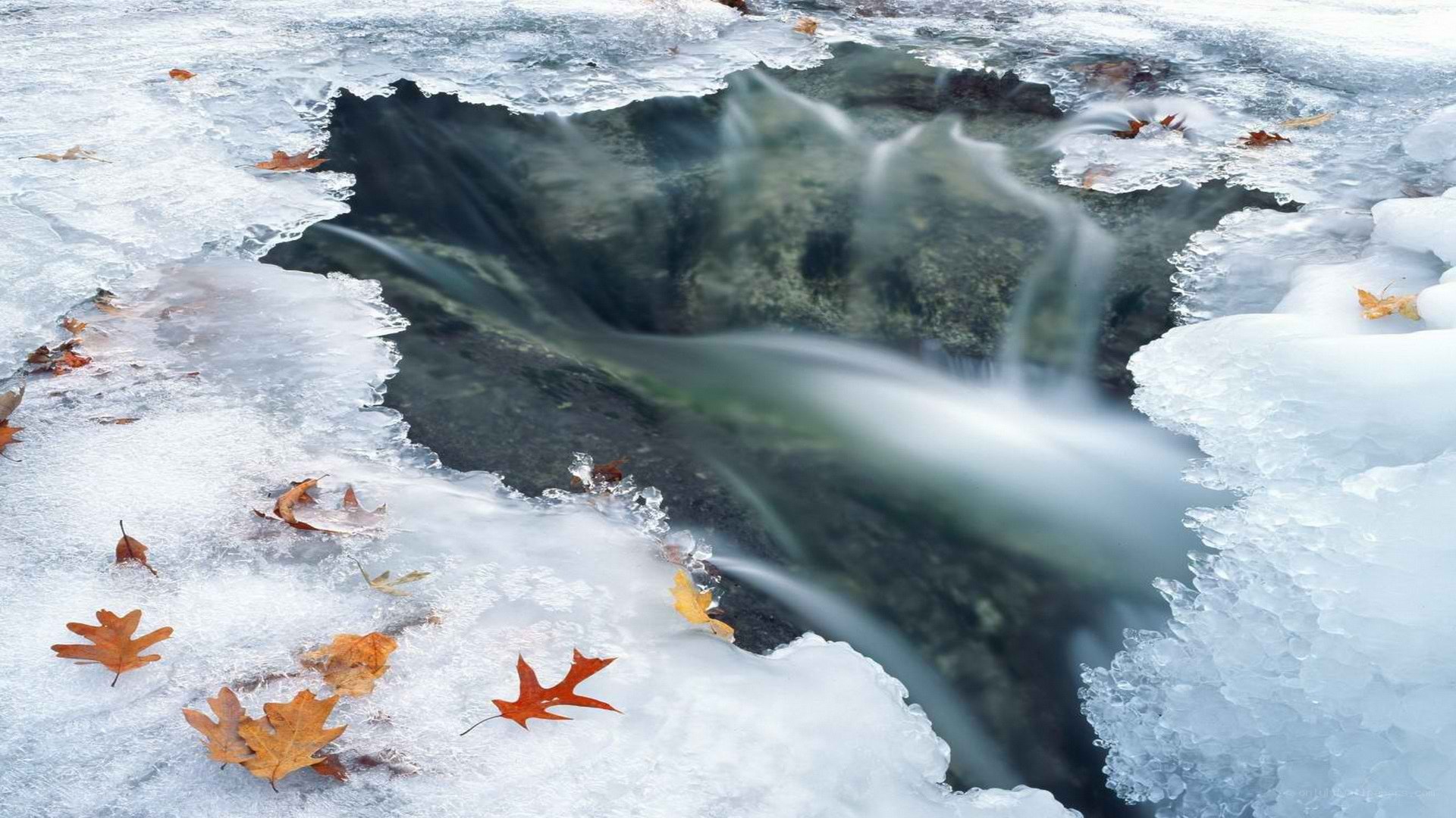 Frozen waterfall with autumn leaves