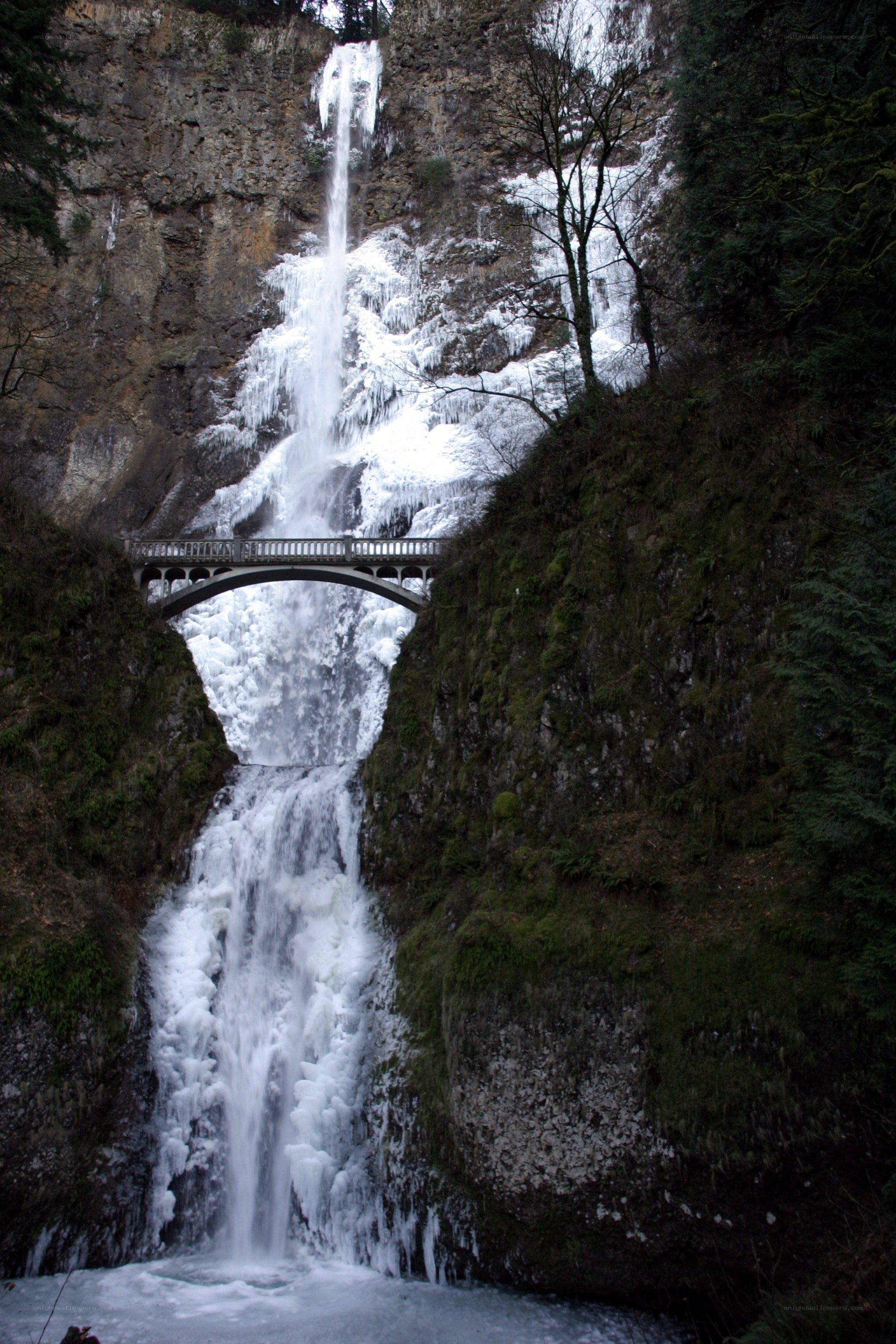 Frozen waterfall with bridge