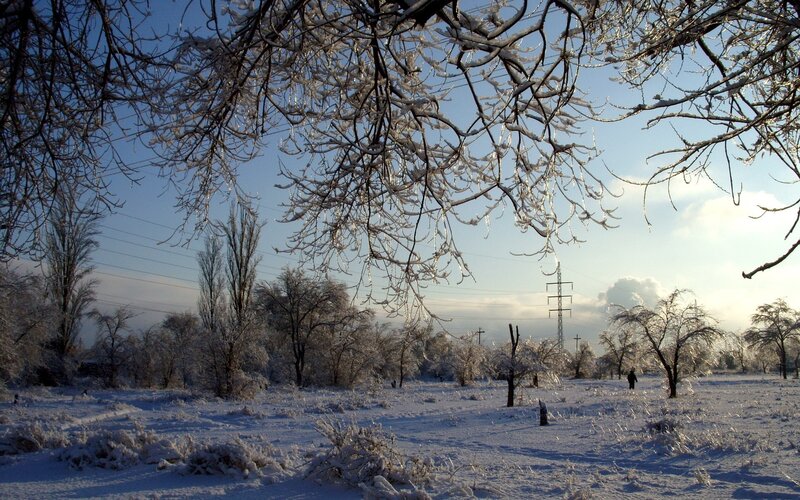 frozen winter landscape
