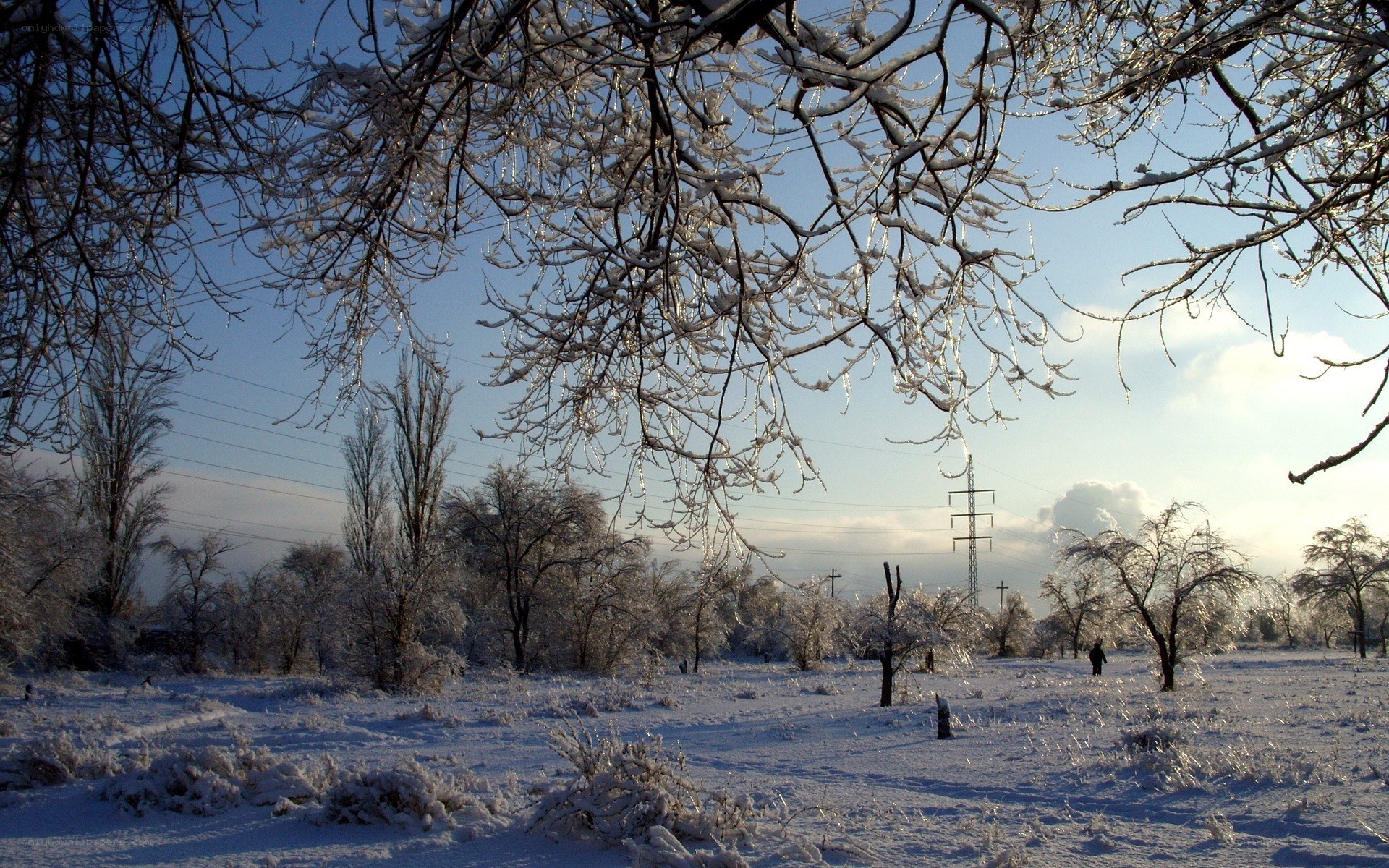 frozen winter landscape