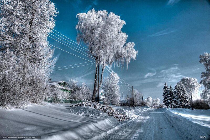 frozen winter landscape