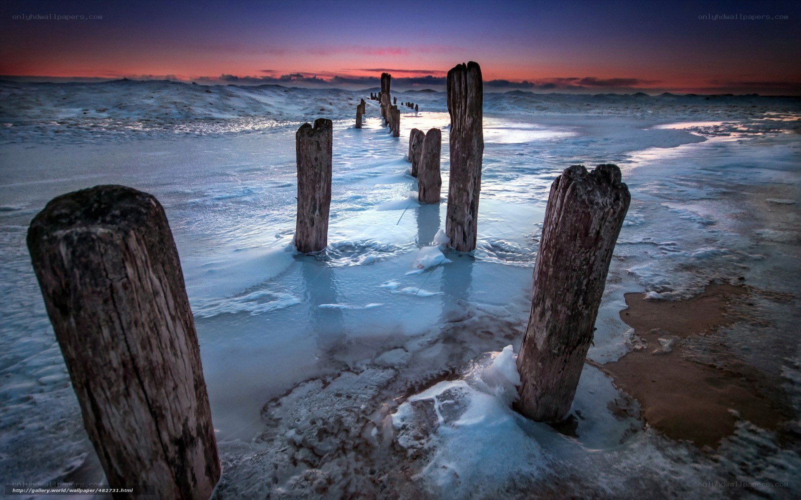 Frozen wooden posts at sunset