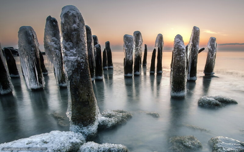 Frozen Wooden Posts — Gray, Serene