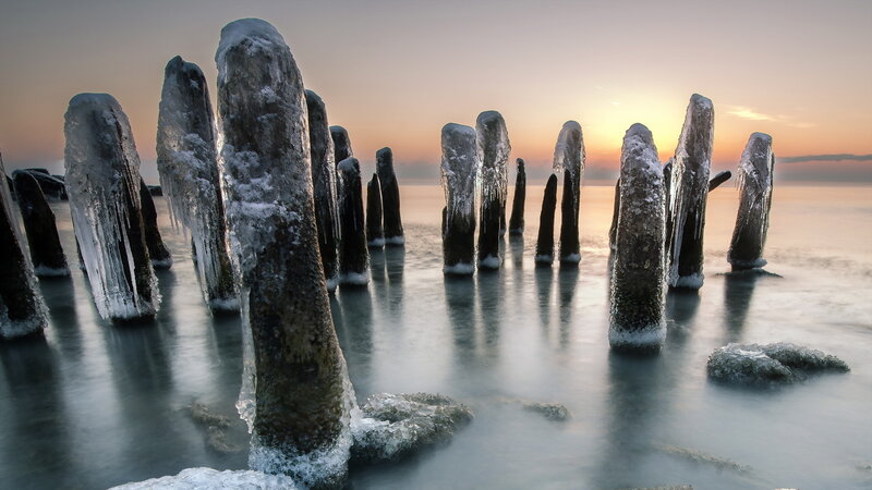 Frozen Wooden Posts — Gray