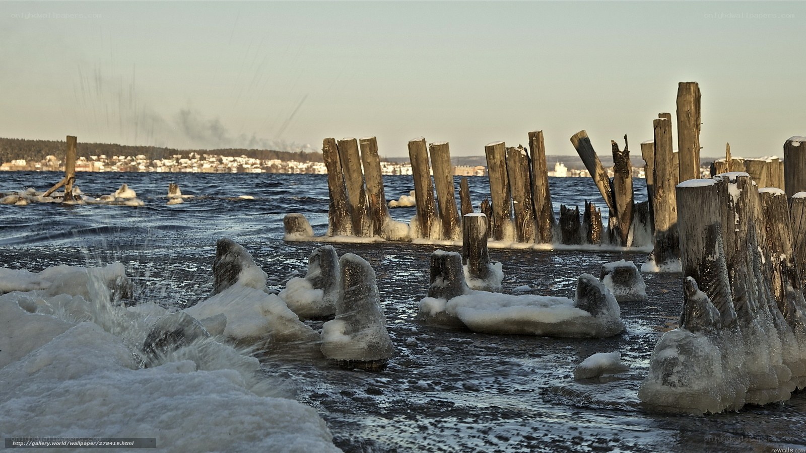 Frozen wooden posts in icy water