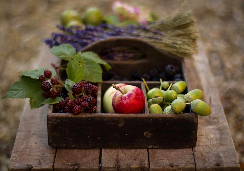 Fruit and Acorns in Box — Brown