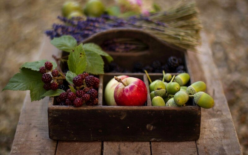 Fruit and Acorns in Box