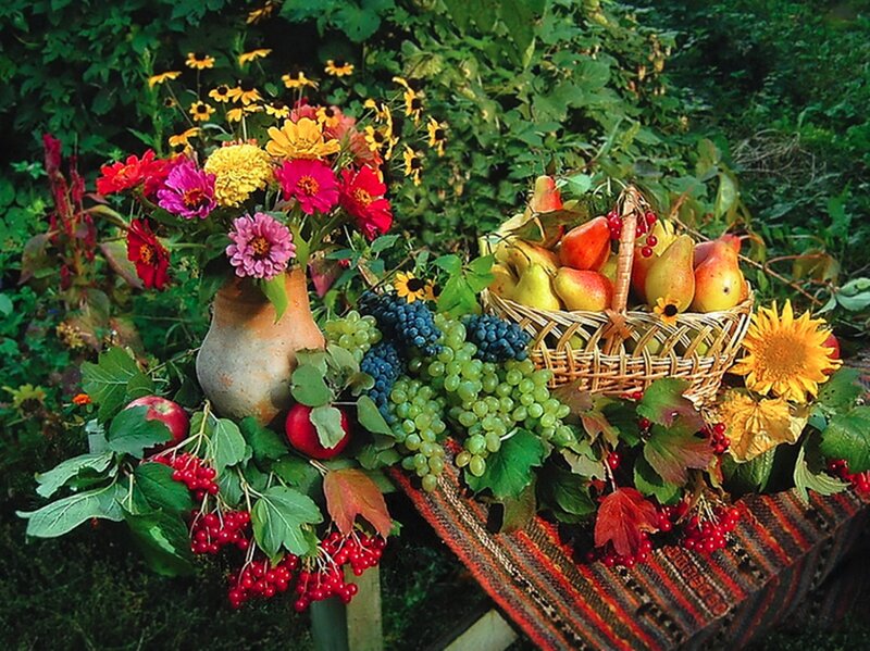 Fruit and Flower Arrangement — Green, Abundant