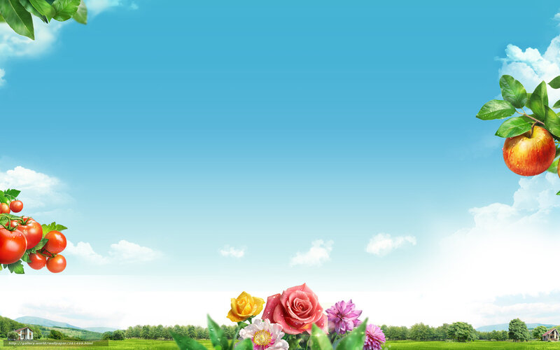 Fruit and flowers in a sunny field