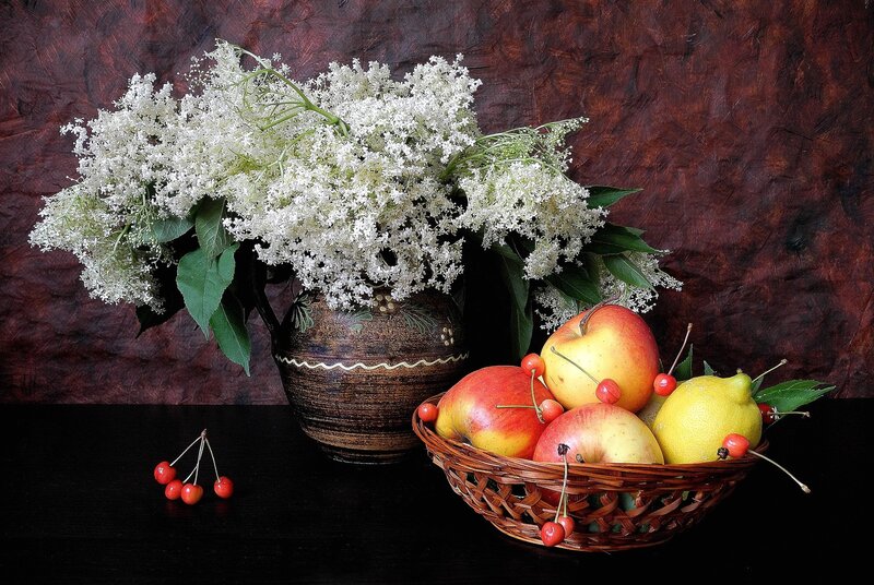 Fruit and Flowers in Basket — Brown