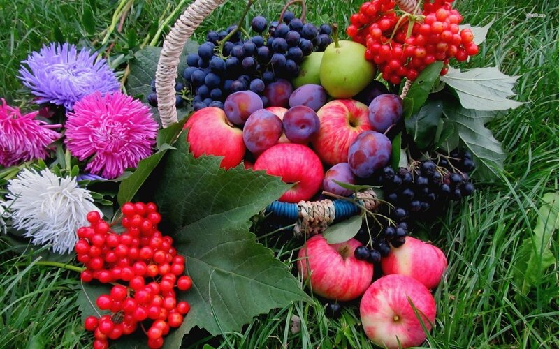 Fruit and Flowers in Basket — Green, Natural