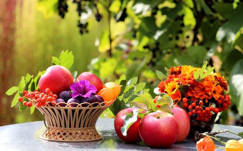 Fruit and Flowers in Basket — Red, Serene