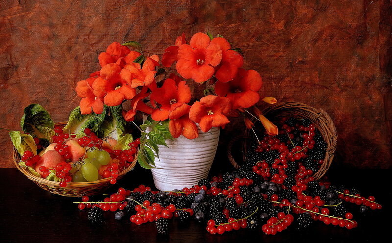 Fruit and Flowers in Baskets — Red, Still Life