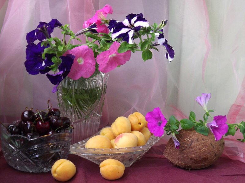 Fruit and Flowers in Bowls — Purple