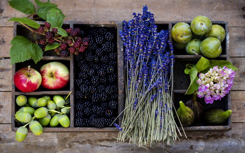 Fruit and Flowers in Crate — Blue, Natural