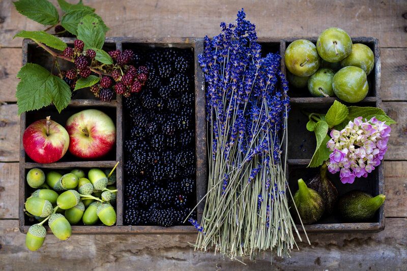 Fruit and Flowers in Crate — Blue