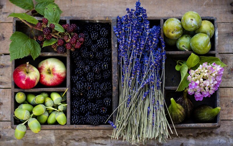Fruit and Flowers in Crate