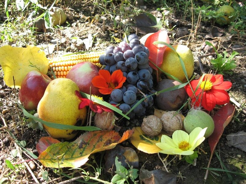 Fruit and Flowers on Ground