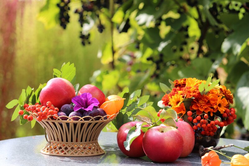 Fruit and Flowers on Table — Red, Serene