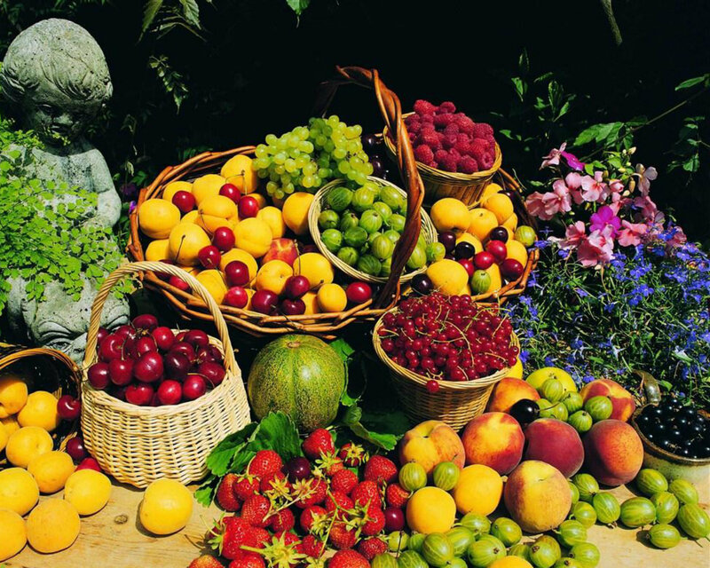 Fruit and Vegetable Display — Green