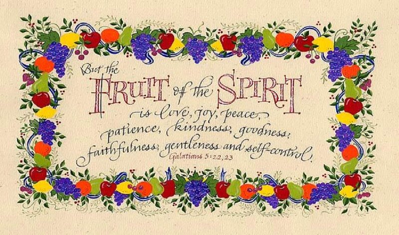 Fruit and Vine Border
