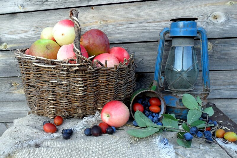 Fruit Basket and Lantern