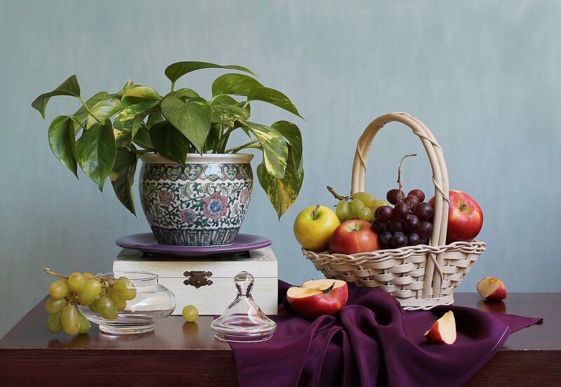 Fruit Basket and Plant