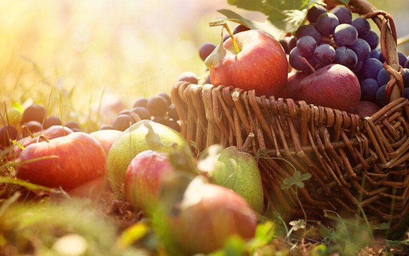 Fruit Basket in Grass — Brown, Serene
