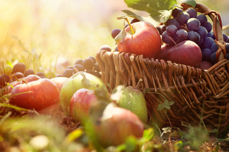 Fruit Basket in Grass