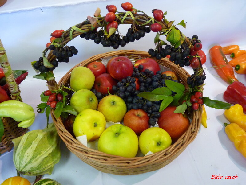 Fruit Basket with Apples — Green