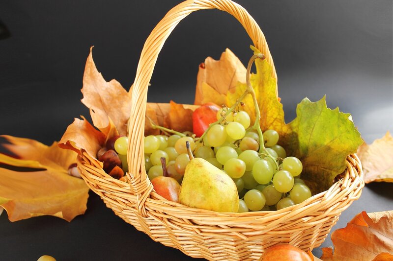 Fruit Basket with Autumn Leaves — Brown