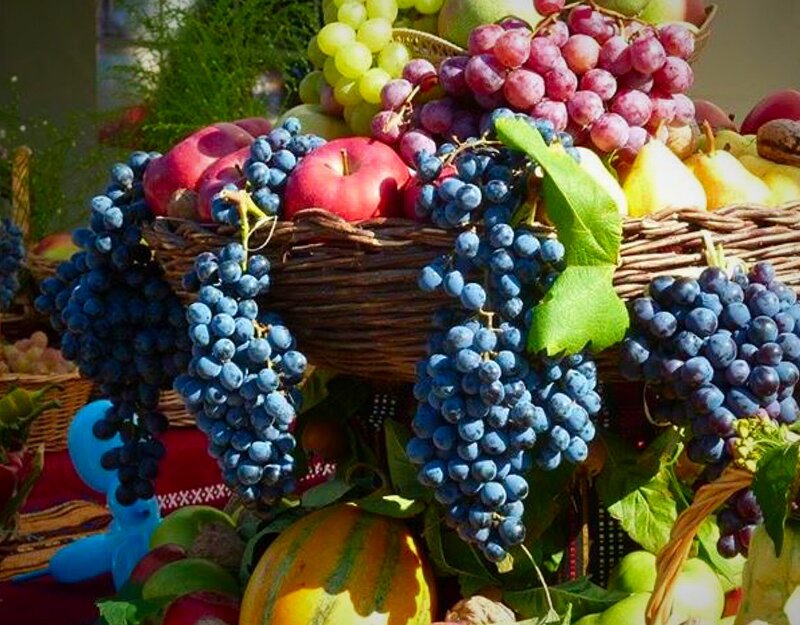 Fruit Basket with Grapes — Blue, Abundant