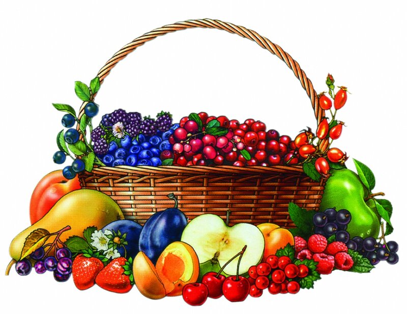Fruit Basket with Produce — Brown, Abundant