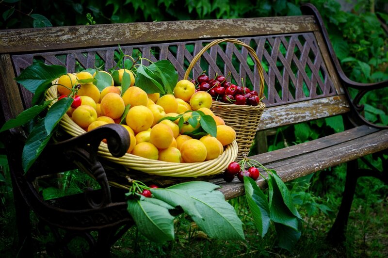 Fruit Baskets on Bench